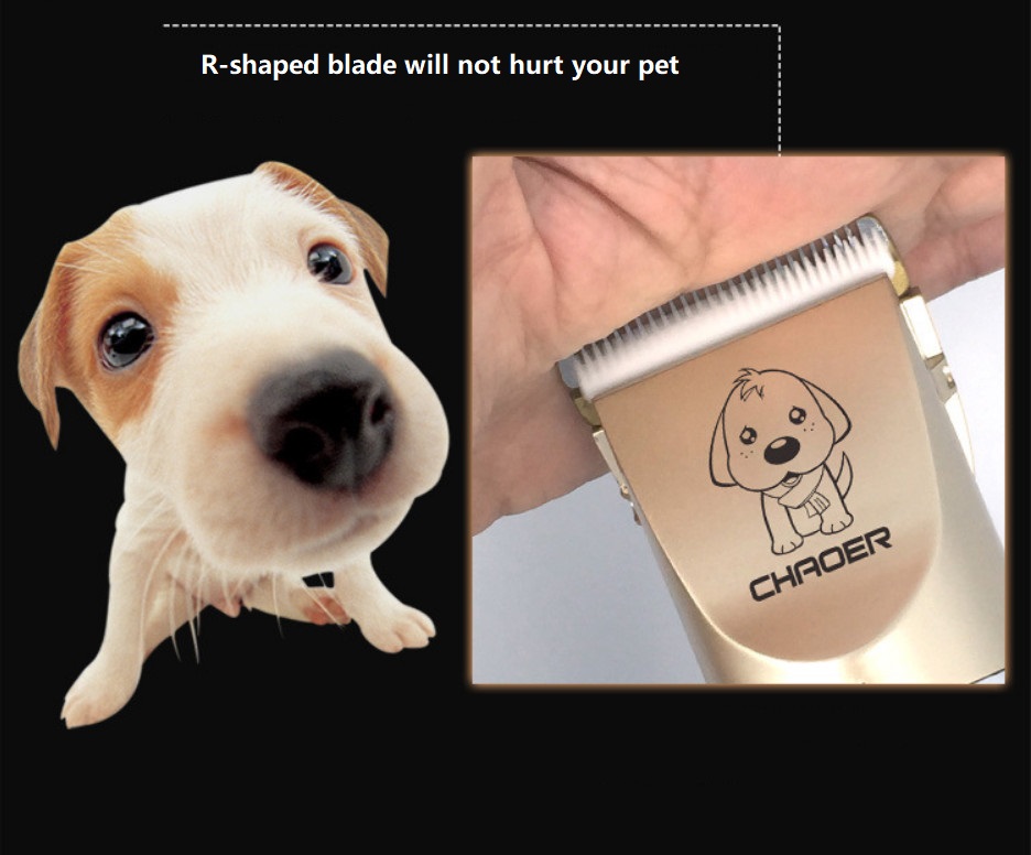 A60 usb vezeték nélküli kisállatvágó