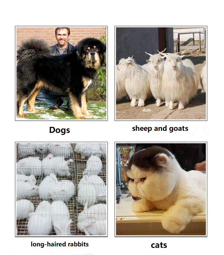 A83 vezeték nélküli kisállatvágó